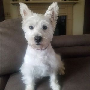 Meet your Posher, Emma